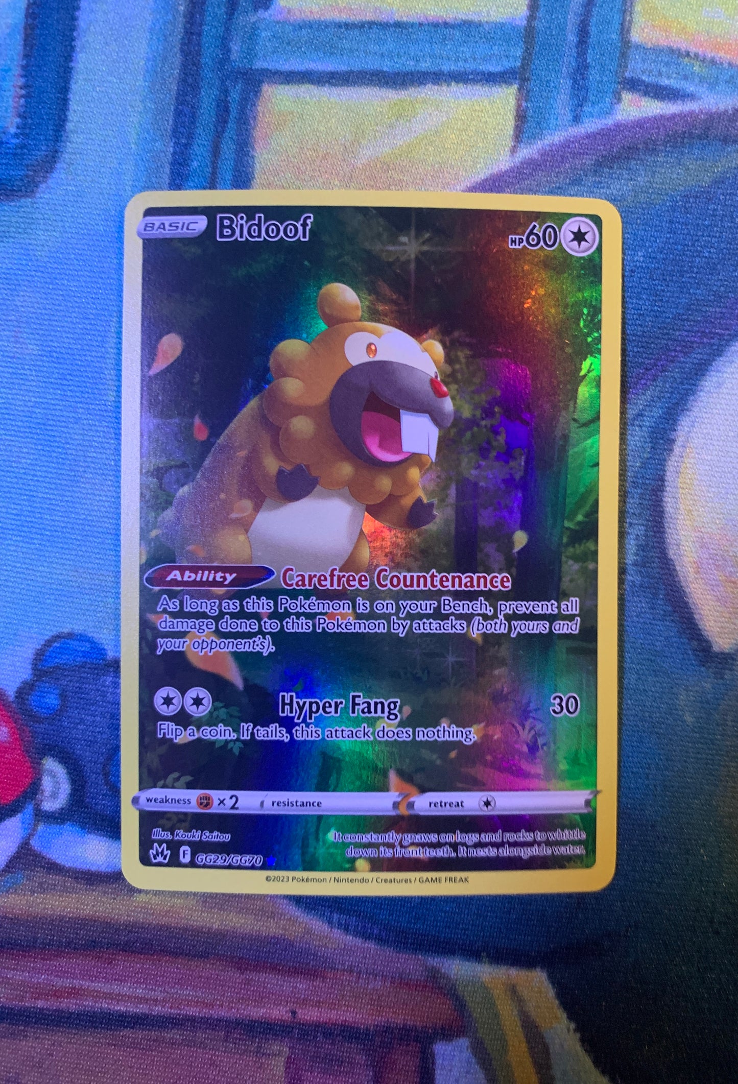 Bidoof