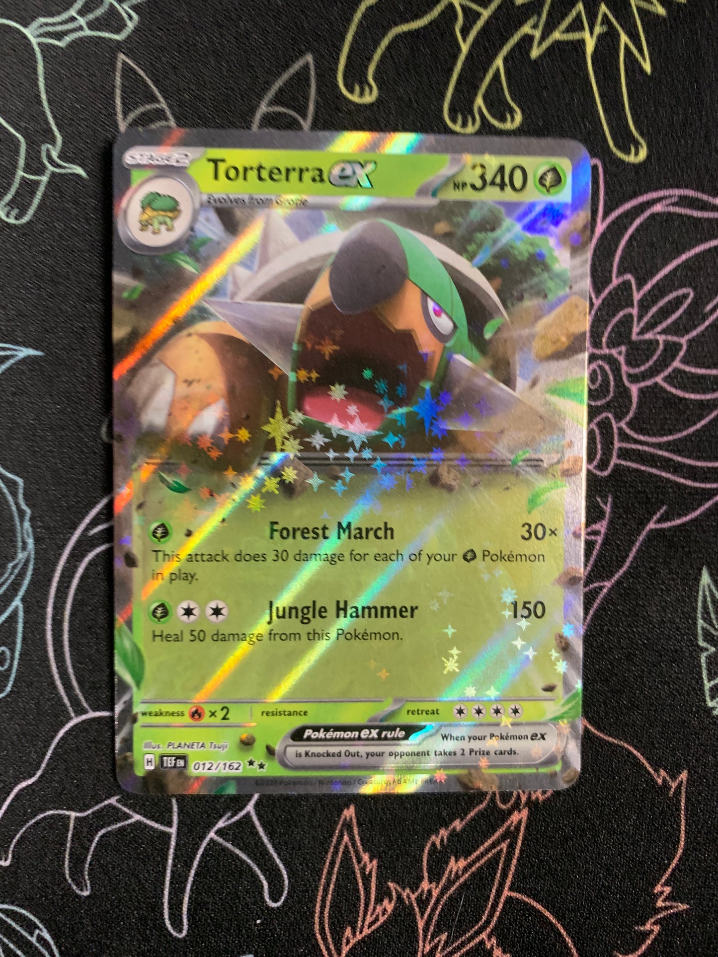 Torterra ex