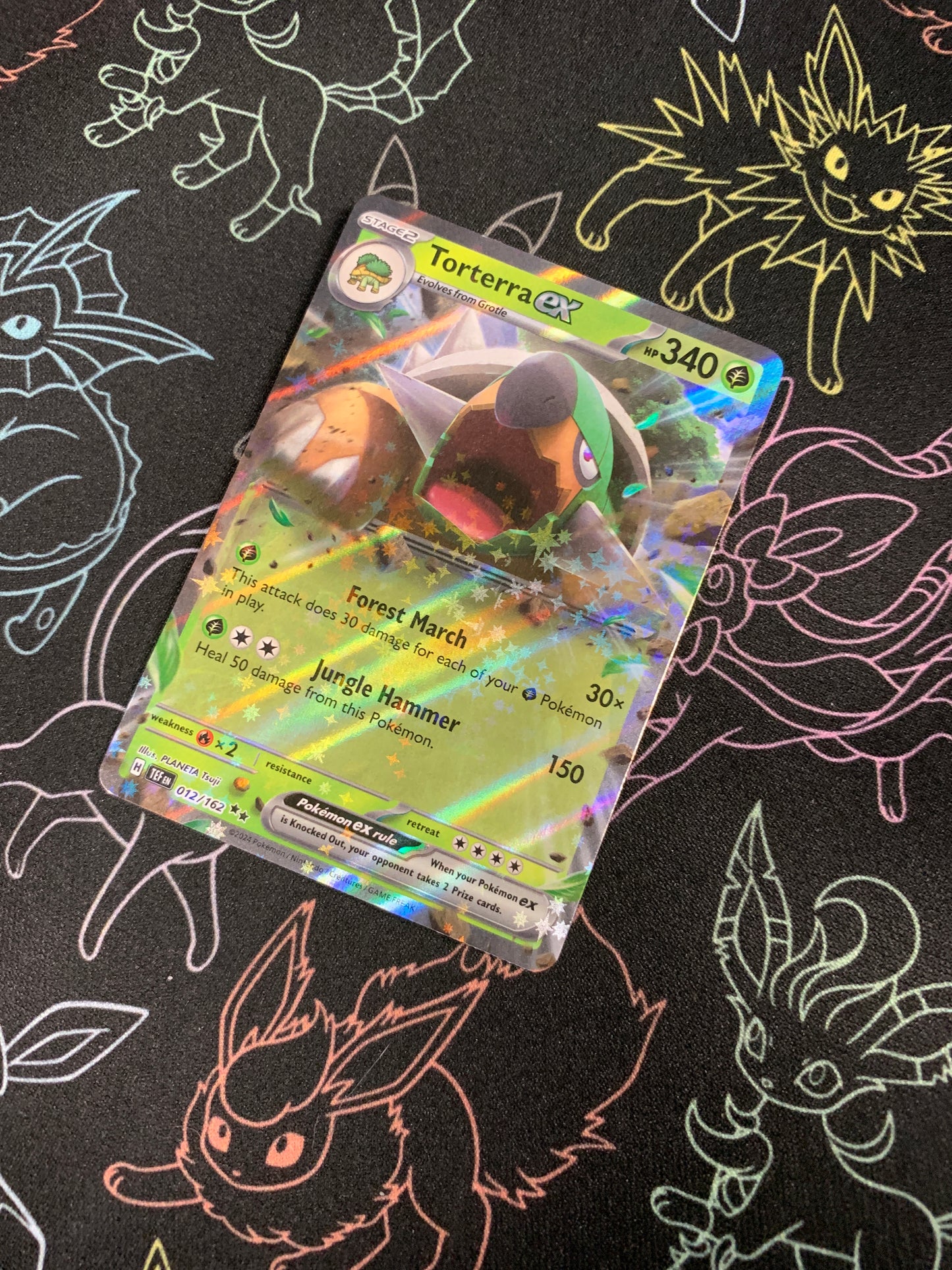 Torterra ex