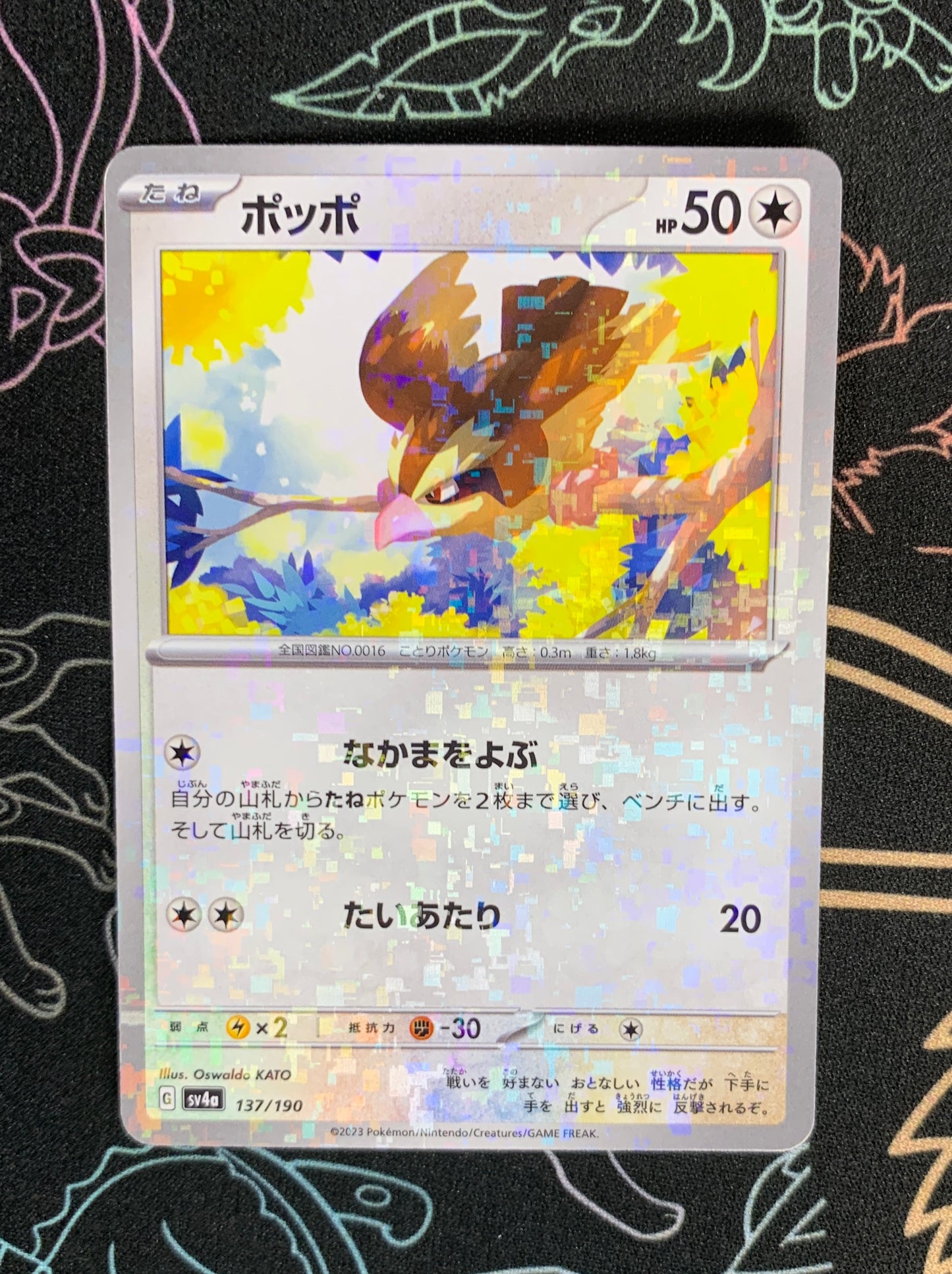 Pidgey [JPN]